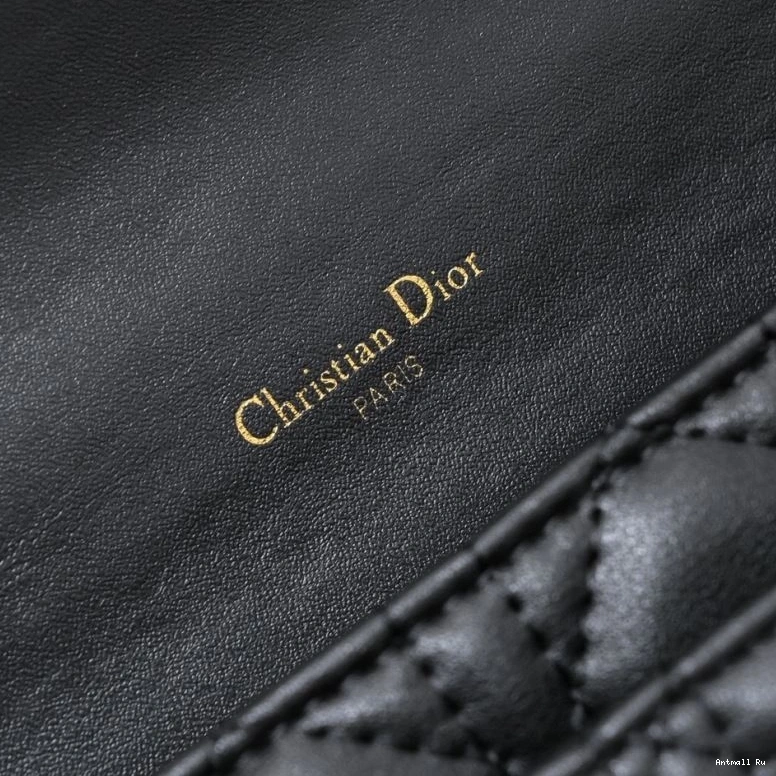 85543 Bags Christian SunProtective Satchel Dior 0705